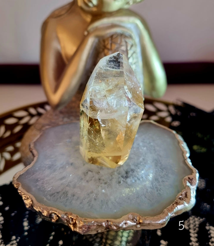 Citrin Flera olika, Fri form